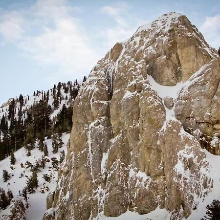 Apartament Chamonix 100 Mammoth Lakes Zewnętrze zdjęcie